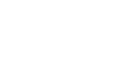Zeptom AI